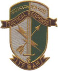 TRT Patch